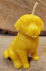 Bienenwachskerze Hund